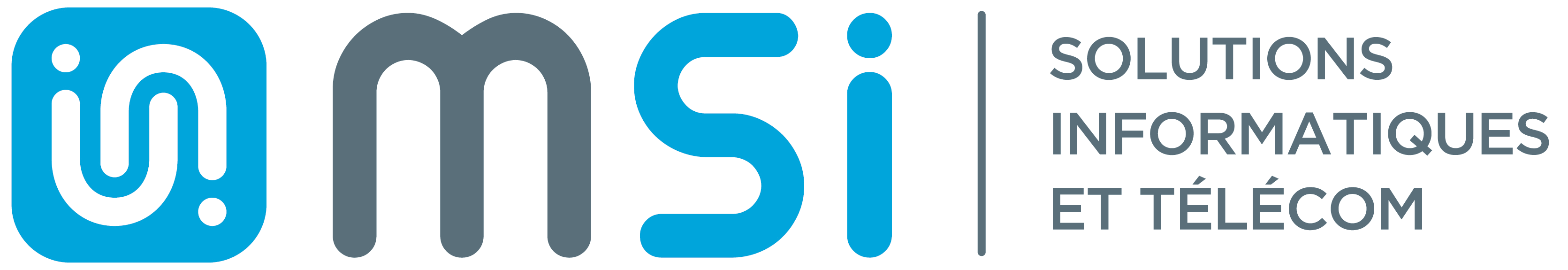 MSI MICRO & SERVICES INFORMATIQUES
