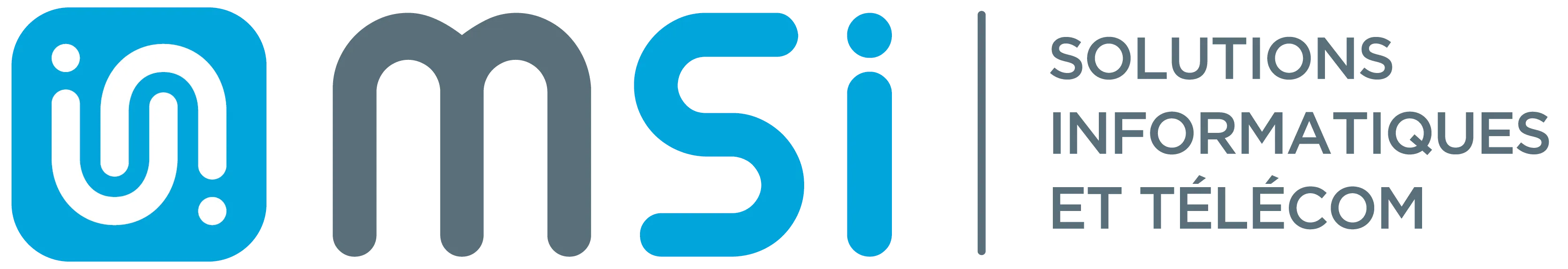 MSI MICRO & SERVICES INFORMATIQUES