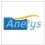 Anetys