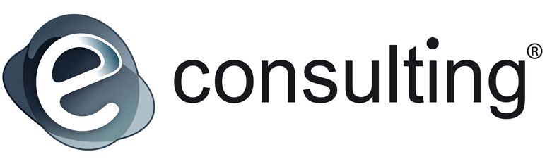 E-consulting