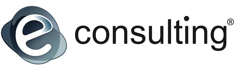 E-consulting