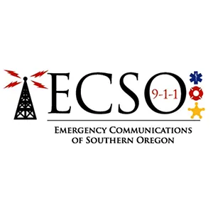 ecso logo case study