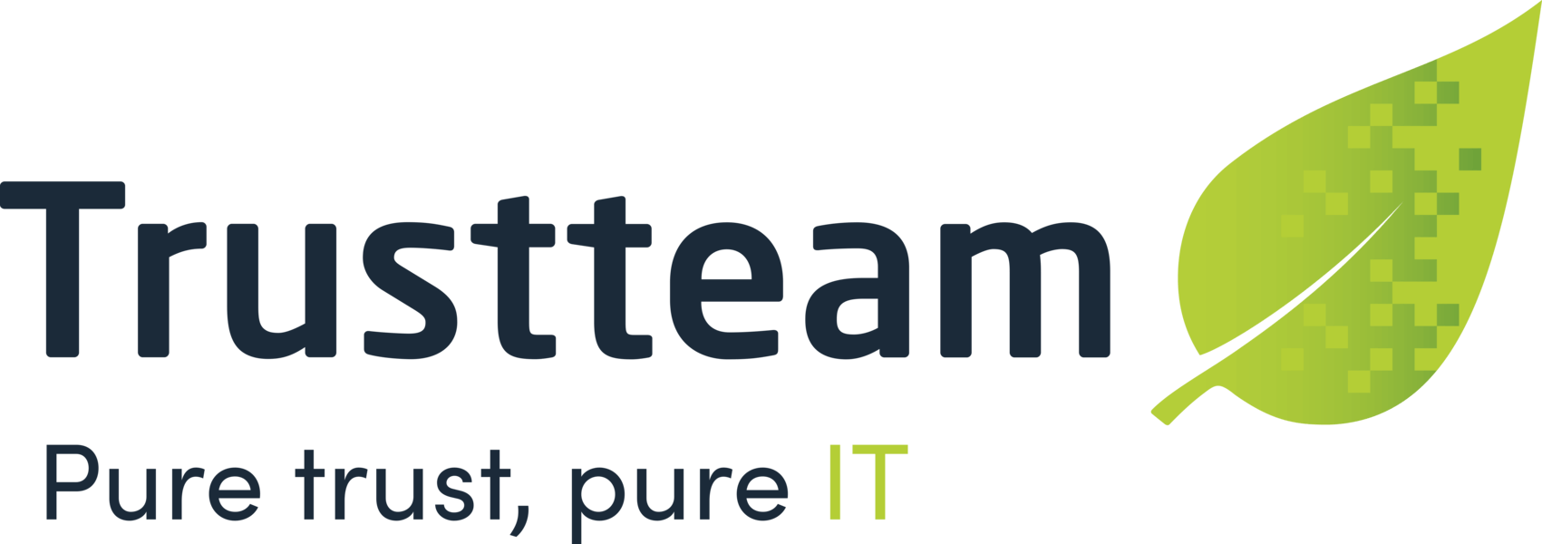 TRUSTTEAM NV