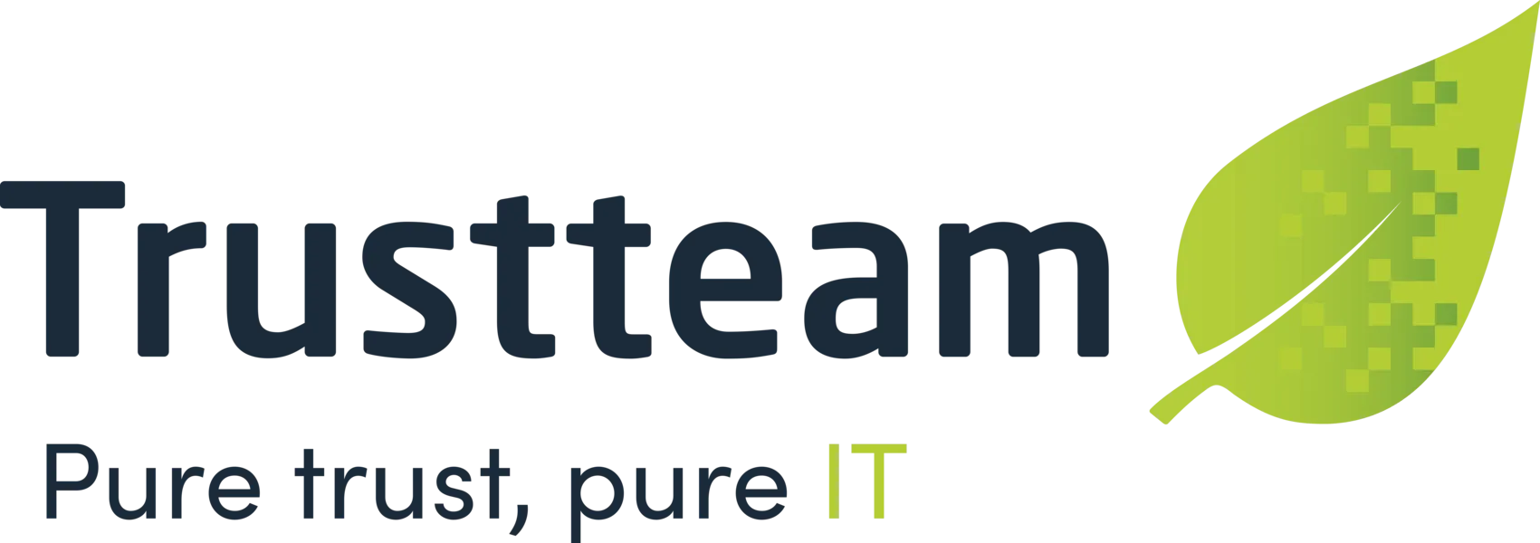 TRUSTTEAM NV