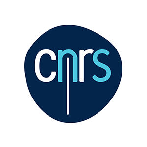 cnrs logo case study