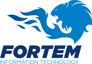 Fortem Information Technology Ltd