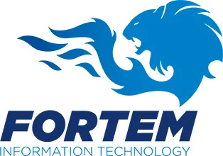 Fortem Information Technology Ltd