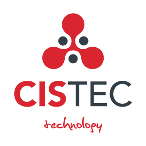 Grupo Antolin Objetivos de Cistec en la implementación