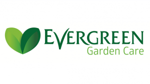 evergreen garden