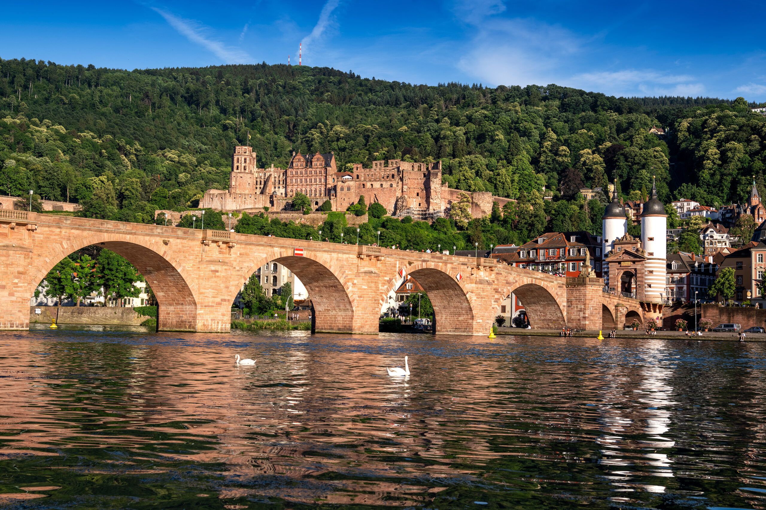 Stadt Heidelberg