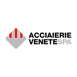 Acciaierie Venete - Anteprima del caso di studio
